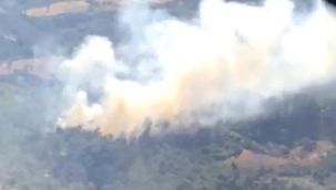 Manisa'da ormanlık alanda yangın çıktı