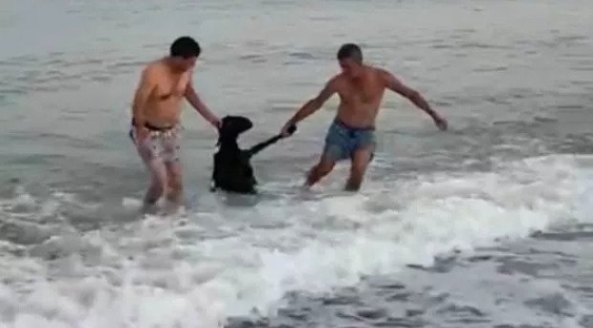 Mersin'de sahibinden kaçan keçi denize atladı