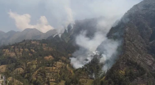 Peru'daki orman yangını Machu Picchu'ya ilerliyor