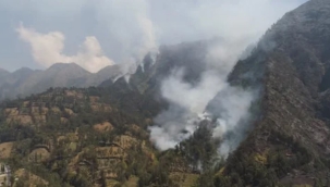 Peru'daki orman yangını Machu Picchu'ya ilerliyor