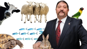 Petshoplar, Kasaplar Odası'na bağlandı