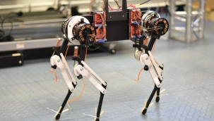 Robot köpek Morti, 1 saatte yürümeyi öğrendi