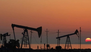 Rusya, Shell'in ortak olduğu petrole el koydu