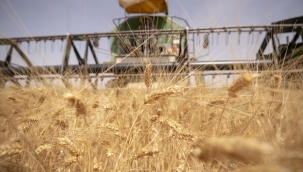 Tahıl koridoru zirvesi İstanbul'da yapılacak