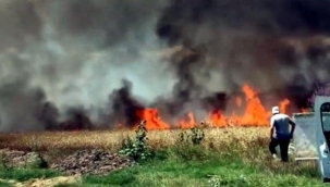 Tekirdağ'da 50 dönüm buğday tarlası yandı