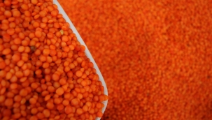 TMO: "1 ton k. mercimeğin alım fiyatı 14 bin TL"