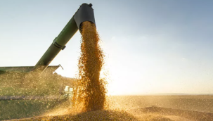 Ukrayna "denizden tahıl sevkiyatı"na hazırlanıyor