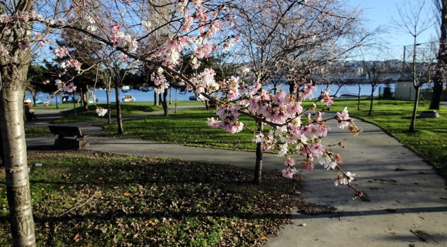 Yağışlı hava yurdu terk ediyor