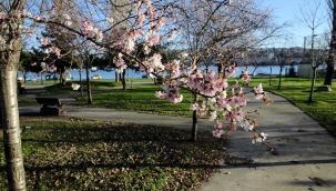 Yağışlı hava yurdu terk ediyor