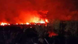 Yunanistan'da tehlikeli madde taşıyan uçak düştü