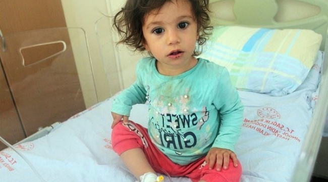 2 yaşındaki çocuk kendisini ısıran yılanı ısırdı