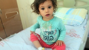 2 yaşındaki çocuk kendisini ısıran yılanı ısırdı