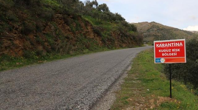 Tunceli/Akdüven köyünde 6 ay kuduz karantinası