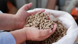 Bulgarlar Edirne'den tırlar dolusu pelet alıyor