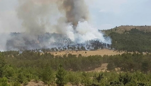 Burdur/Bucak'ta orman yangını