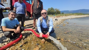 Bursa'da göllere 2,5 milyon yavru sazan bırakıldı