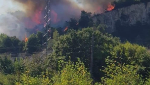 Çanakkale/Biga'da orman yangını