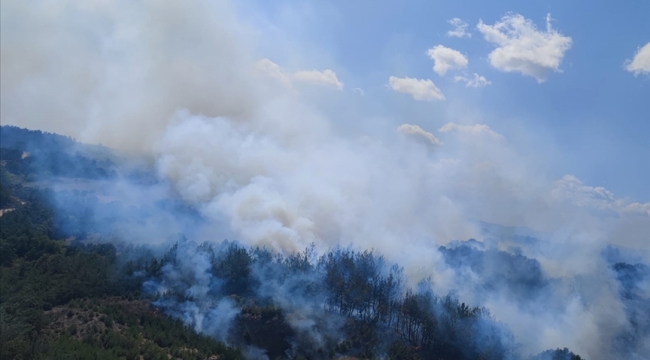 Çanakkale/Çan'da orman yangını