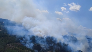 Çanakkale/Çan'da orman yangını