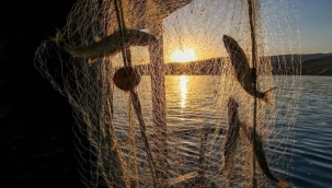 Denizlerde av yasağı 1 Eylül perşembe günü bitiyor