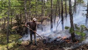 Eskişehir'de ormana yıldırım düştü: Yangın çıktı