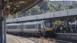 Fransa'da bazı trenleri böcek bastı