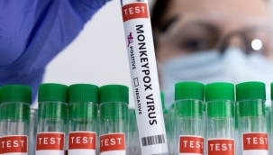 İspanya'da maymun çiçeği vakaları 5 bini aştı