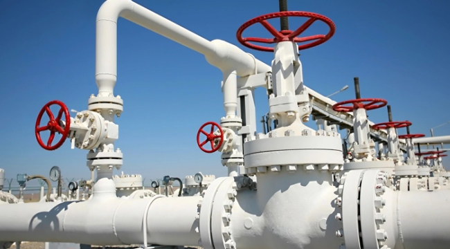 İsviçre doğalgaz tüketimini %15 azaltacak 