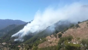 Kahramanmaraş/Onikişubat'ta orman yangını