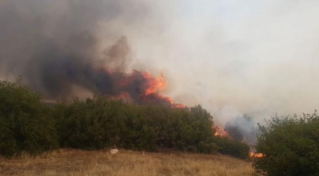 Manisa'nın Kula ilçesinde orman yangını çıktı