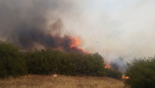 Manisa'nın Kula ilçesinde orman yangını çıktı