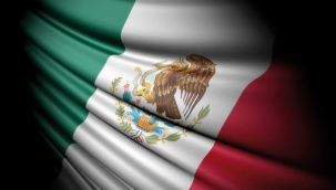 Meksika'da bir gazeteci silahlı saldırıda öldürüldü 