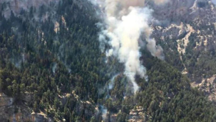 Mersin'de orman yangını