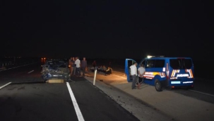 Şanlıurfa'da bir otomobil koyun sürüsüne çarptı