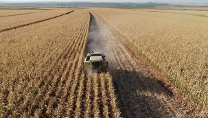 Tarımsal fiyat endeksi Haziran'da yıllık %134 arttı