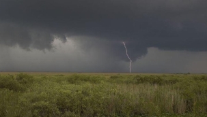 Tekirdağ'da yıldırımın isabet ettiği çoban öldü