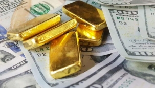 Toplam mevduatta dövizin payı %55'e yaklaştı