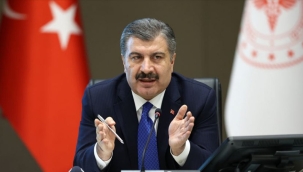 Türkiye'deki maymun çiçeği vakası 11'e ulaştı