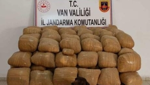 Van'da 700 kilo esrar ele geçirildi
