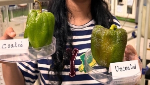 Yiyecekleri koruyan yenilebilir kaplama üretildi