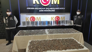 Ankara'da 5715 sikke ile 140 figür ele geçirildi