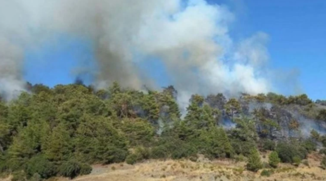 Antalya/Kumluca'da orman yangını