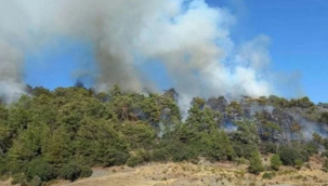 Antalya/Kumluca'da orman yangını