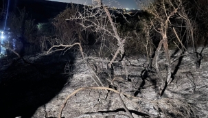 Arnavutköy'deki orman yangını söndürüldü
