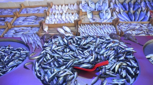 Balık av sezonu ilk gününe iyi başladı