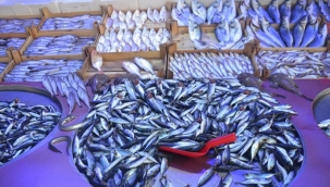 Balık av sezonu ilk gününe iyi başladı