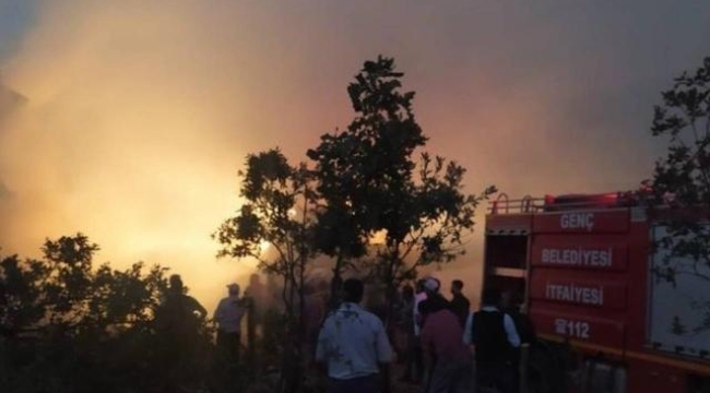 Bingöl'de çiftlik yangını: 6500 balya küle döndü
