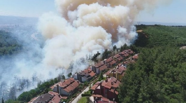 Bursa'nın Orhaneli ilçesinde orman yangını