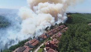 Bursa'nın Orhaneli ilçesinde orman yangını