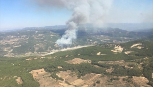 Denizli-Muğla sınırında orman yangını